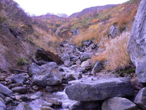 20101012_栗駒山登山道脇を温泉が流れる