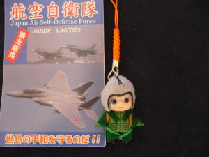 航空自衛隊員