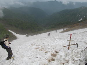 20110612雪渓から見下ろす1