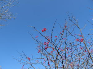 20131117安達太良_003