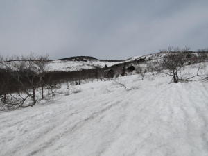 20140420_不忘山004