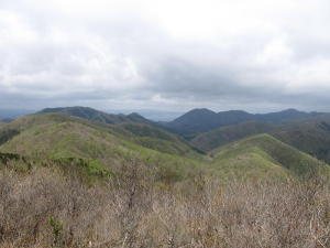 20140510_高旗山_009
