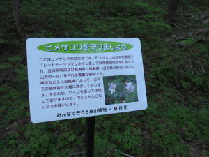 20140511_半田山_007