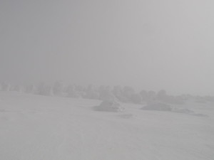 20150307_蔵王018 20150307_蔵王018