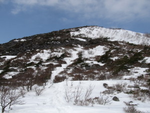 20160305_鬼面山007