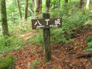 20170528_二岐山_008