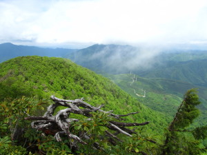 20170528_二岐山_019