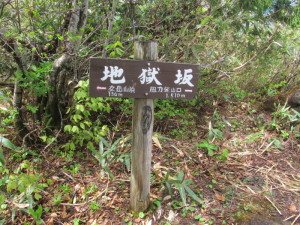 20170528_二岐山_024