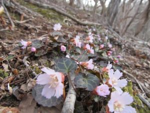 20190407野手上山_010