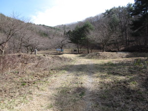 20200321口太山_002