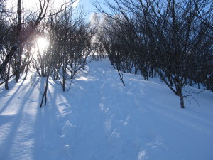 20230205_額取山005