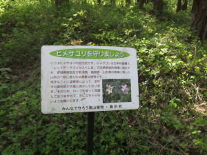 20230423_半田山_011