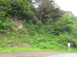 20230702_東大巓_001
